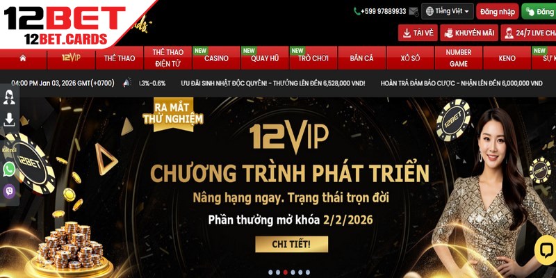 Nền tảng cung cấp tài nguyên, quảng bá hiện đại cho những đại lý hợp tác